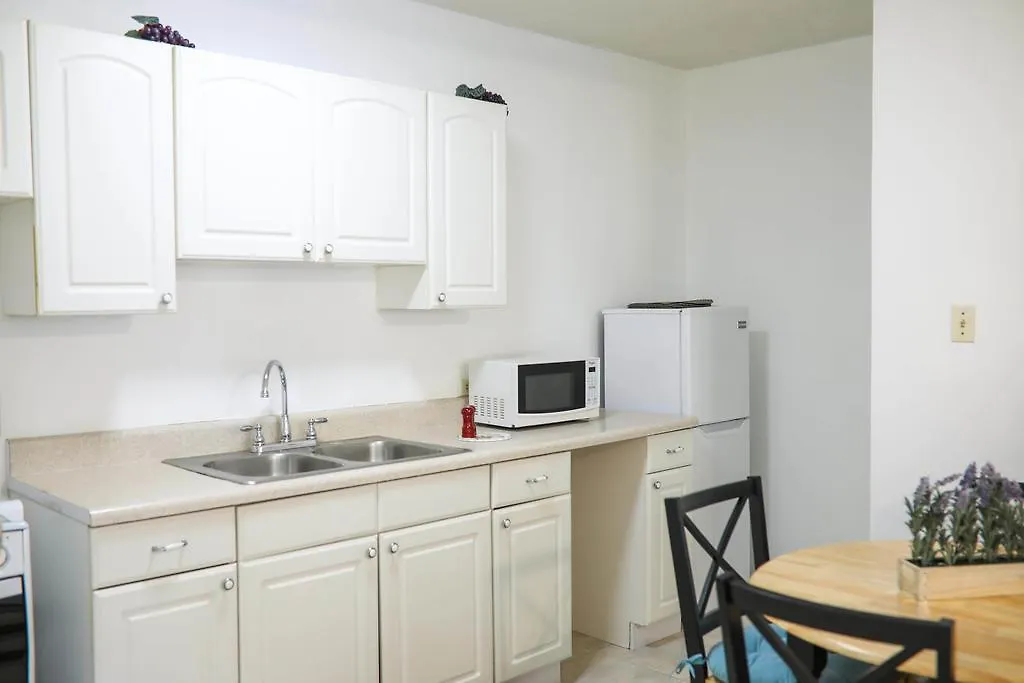 New Kingston'S Deluxe Apartment 牙买加