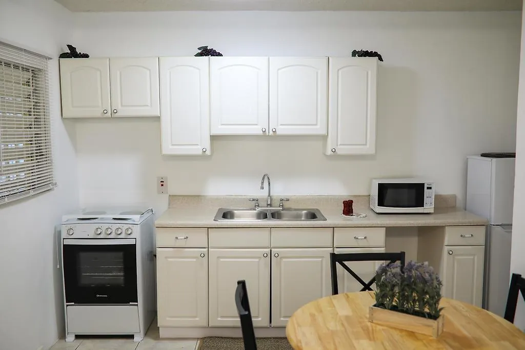 New Kingston'S Deluxe Apartment 牙买加